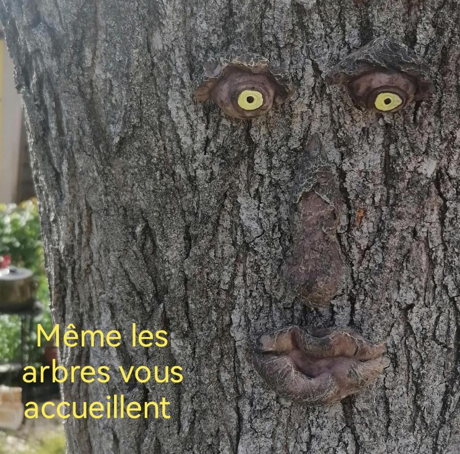 La Fee Viviane Et Michel L'Enchanteur Robion en Luberon Exteriör bild