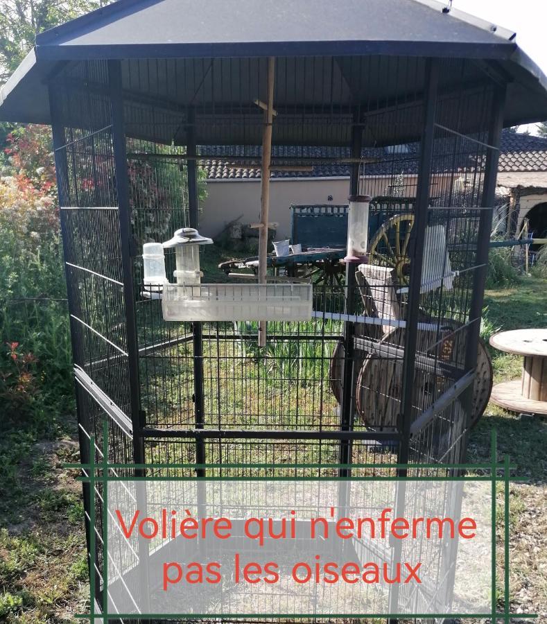 La Fee Viviane Et Michel L'Enchanteur Robion en Luberon Exteriör bild