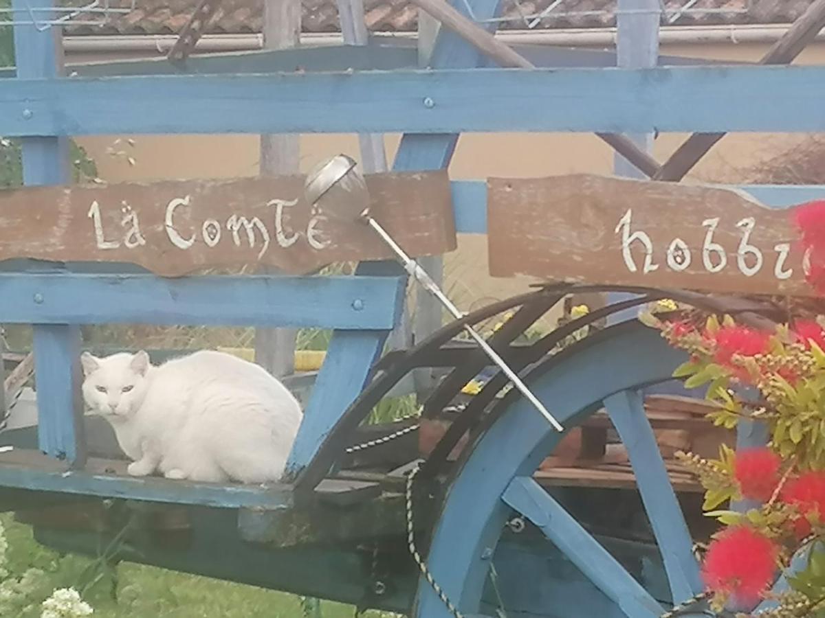 La Fee Viviane Et Michel L'Enchanteur Robion en Luberon Exteriör bild
