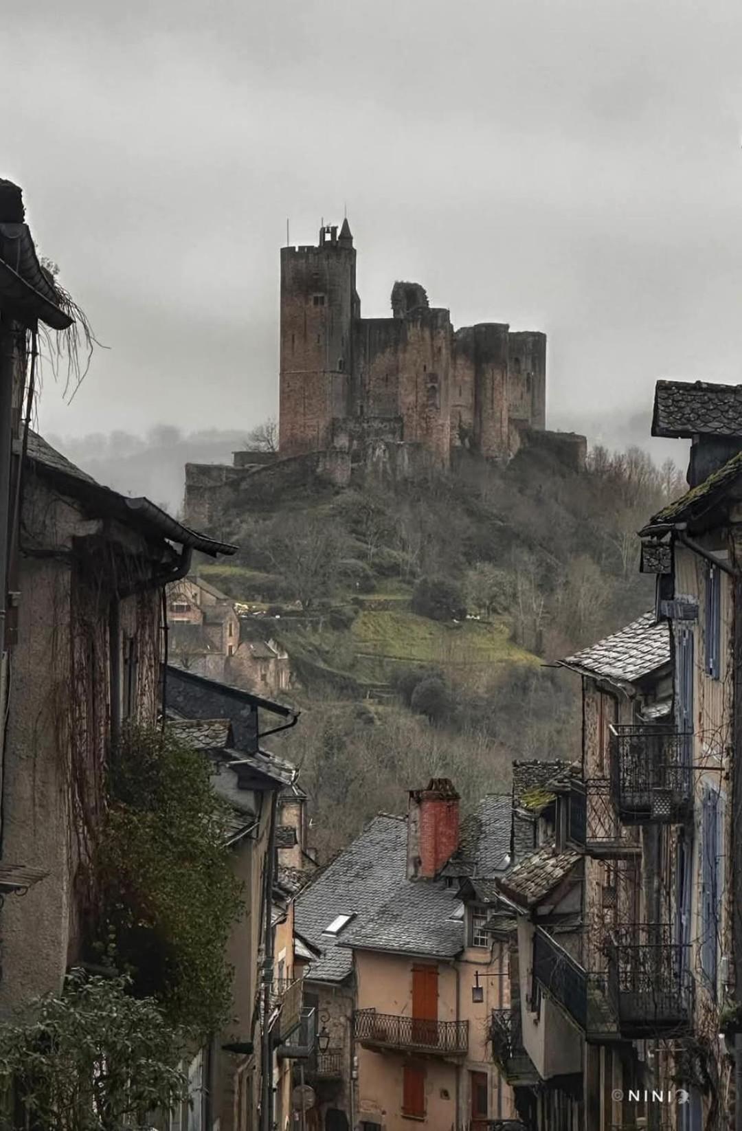 La Fee Viviane Et Michel L'Enchanteur Robion en Luberon Exteriör bild